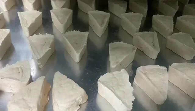 Freeze-dried pet food pieces