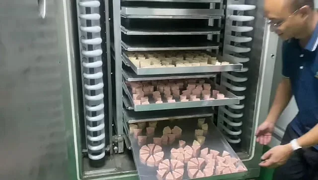 Loading trays into the chamber