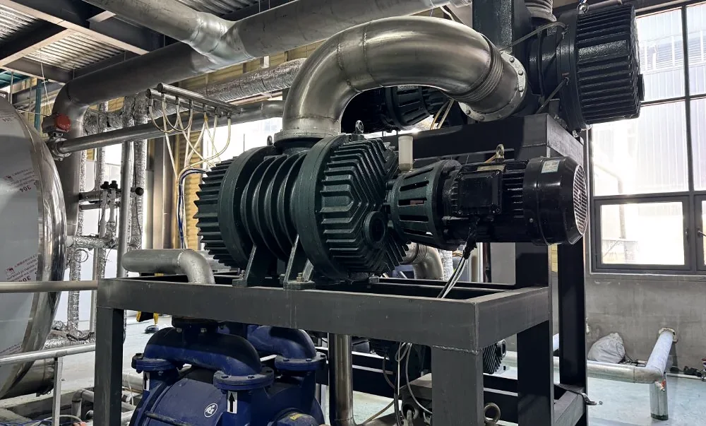 Industrial vacuum pumps