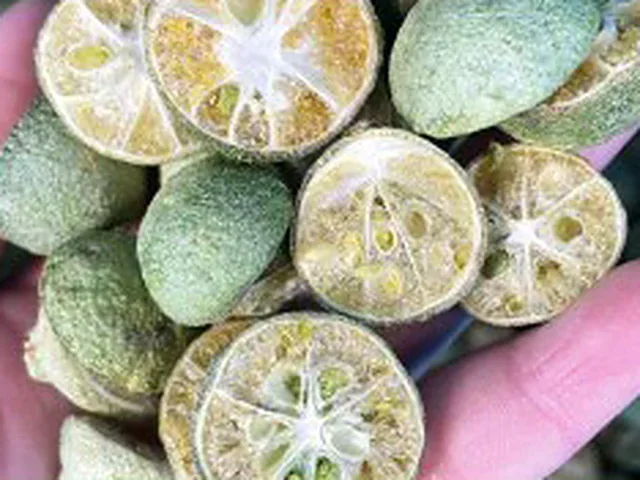 Freeze-dried citrus halves