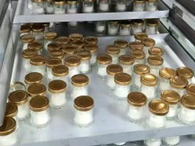 Product in cups on drying trays