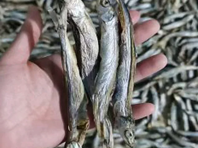 Freeze-dried small whole fish
