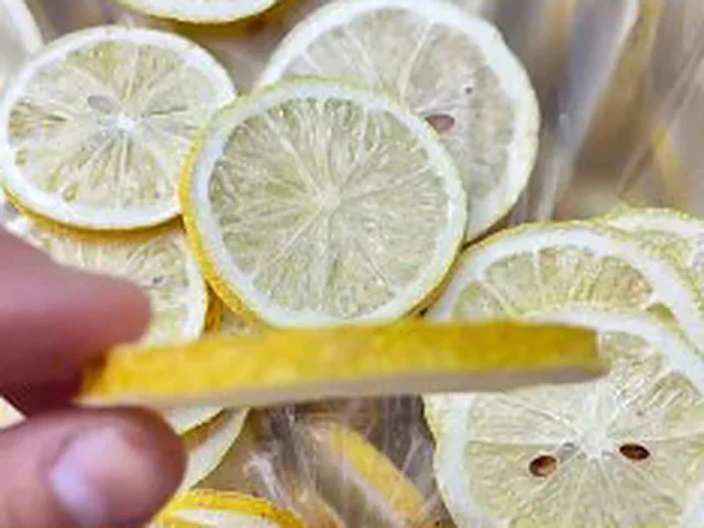 Freeze-dried lemon slices