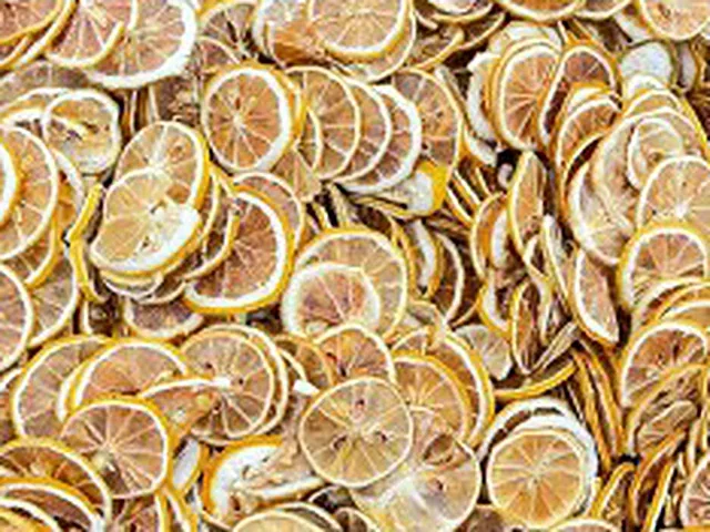 Freeze-dried orange slices