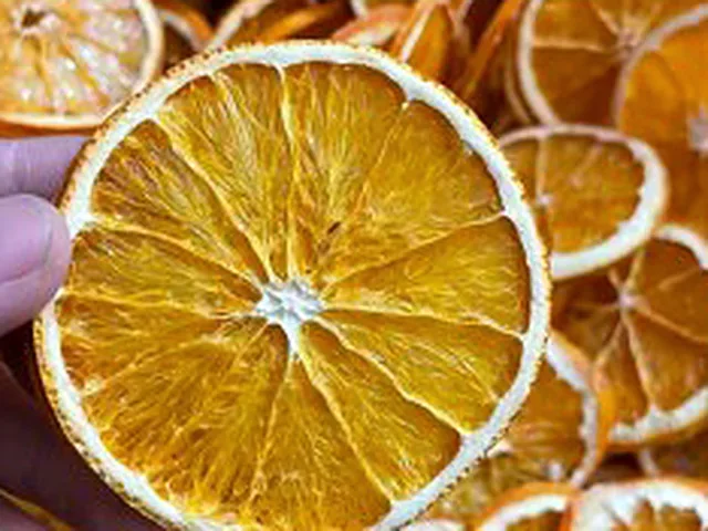 Orange slice: colour and structure kept