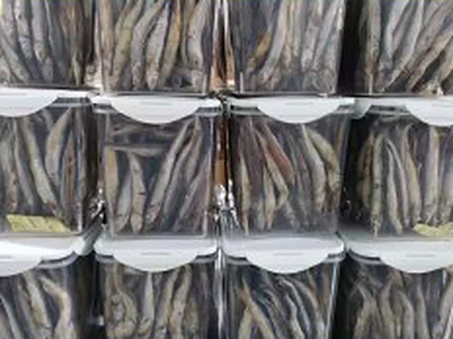 Packed freeze-dried fish