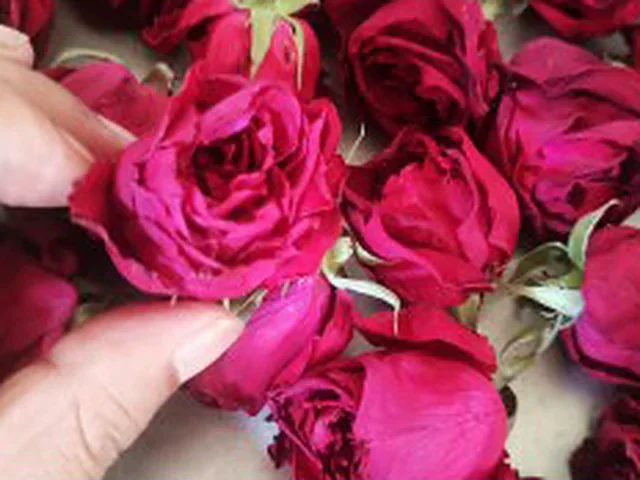 Freeze-dried roses