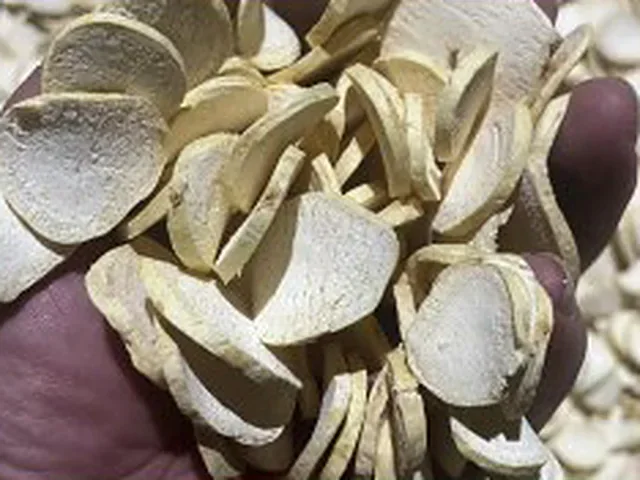 Freeze-dried slices