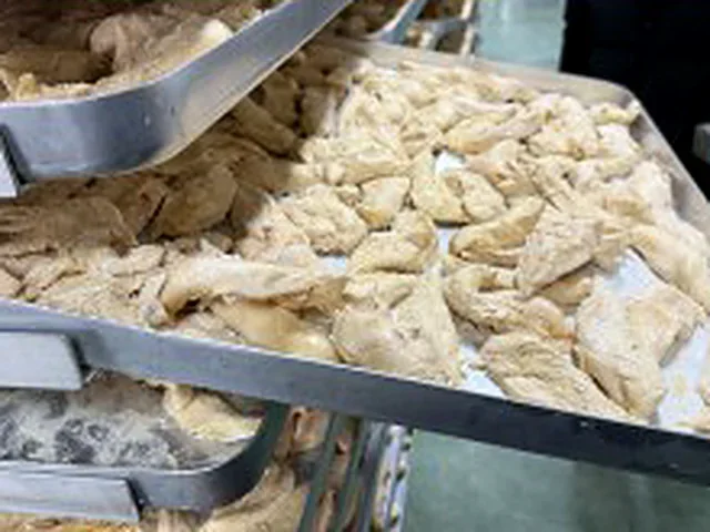 Freeze-dried pieces on drying trays