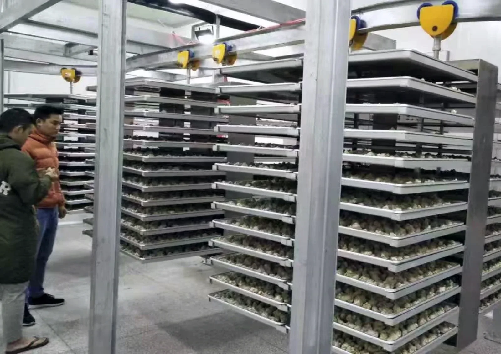 Loaded trolleys at the chamber