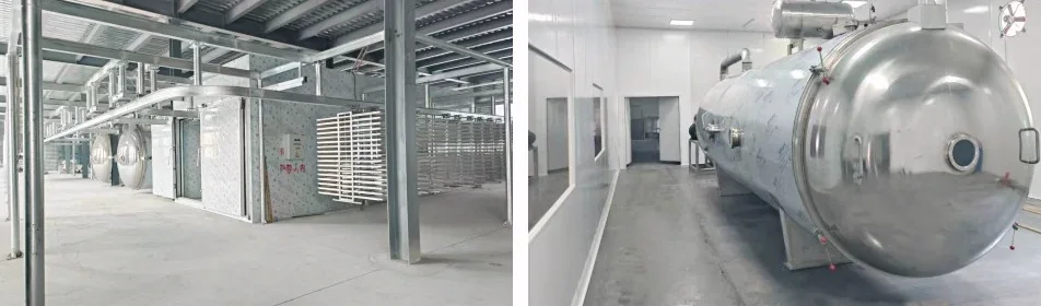 Sourcing freeze dryers from China: audits, terms, logistics